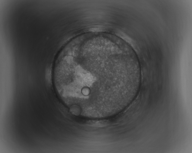 X0000100940297200807151312