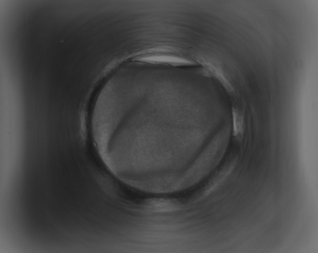 X0000100940300200807151312