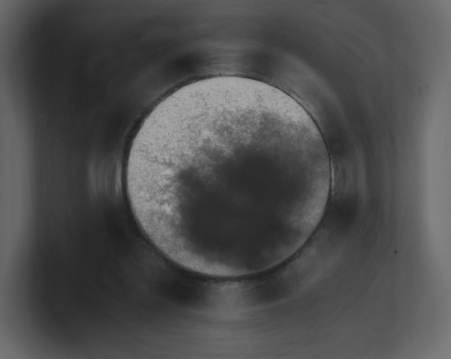 X0000100940301200807151312