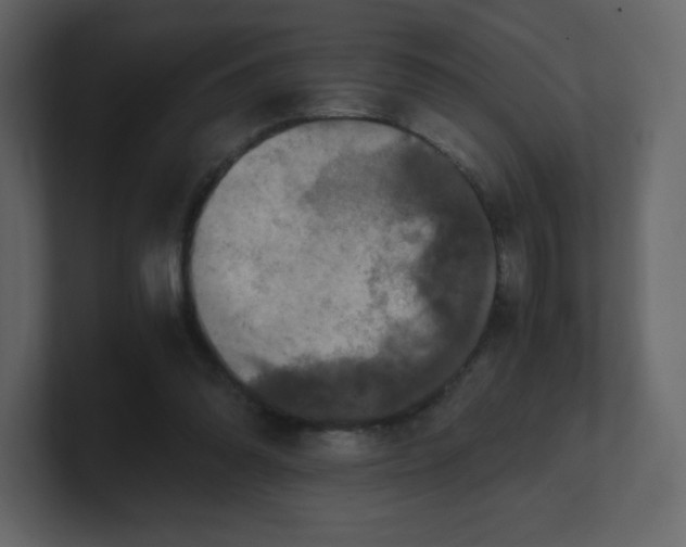 X0000100940302200807151312