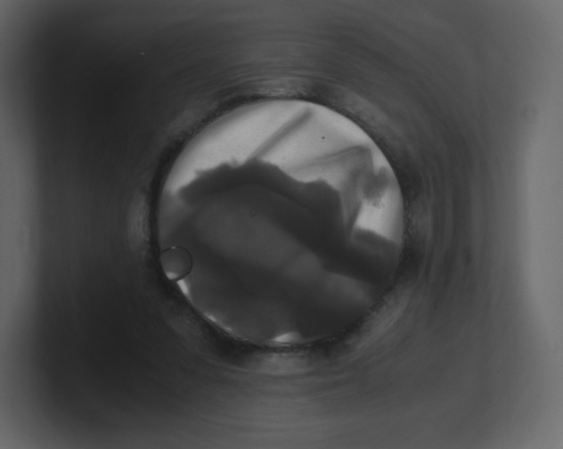 X0000100940303200807151312