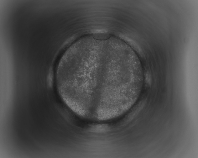 X0000100940304200807151312