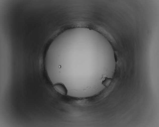 X0000100940306200807151312