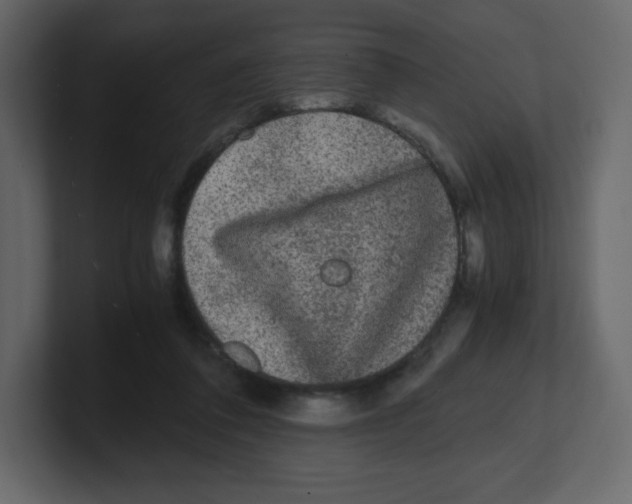 X0000100940308200807151312