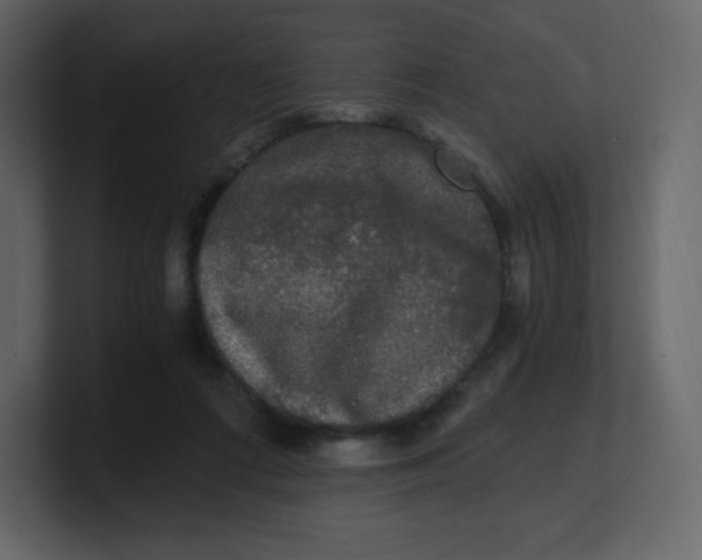 X0000100940312200807151312