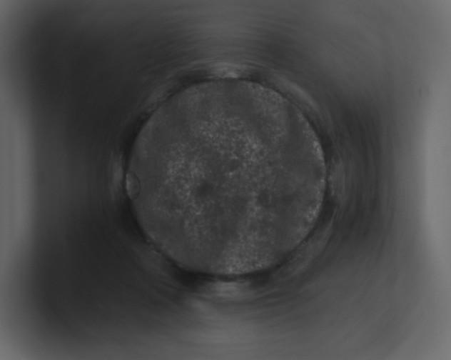 X0000100940314200807151312