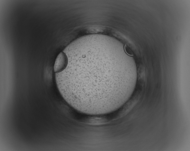 X0000100940315200807151312