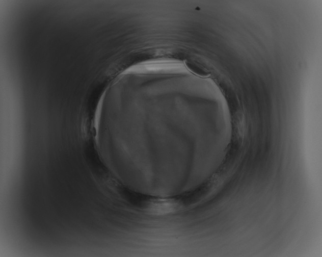 X0000100940316200807151312