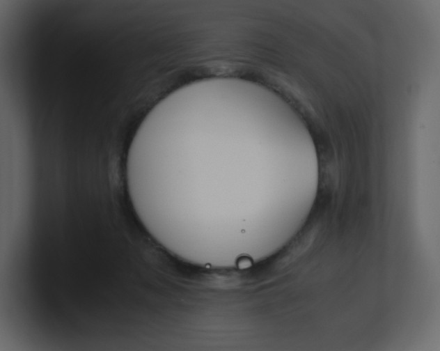 X0000100940317200807151312