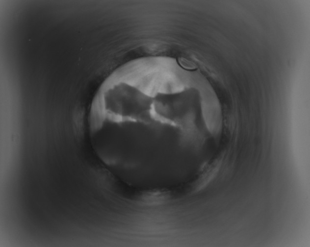 X0000100940319200807151312