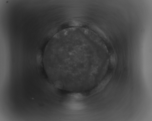 X0000100940322200807151311