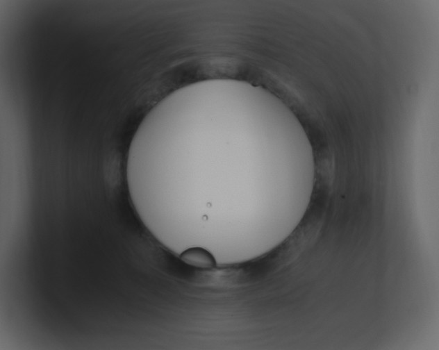 X0000100940323200807151311