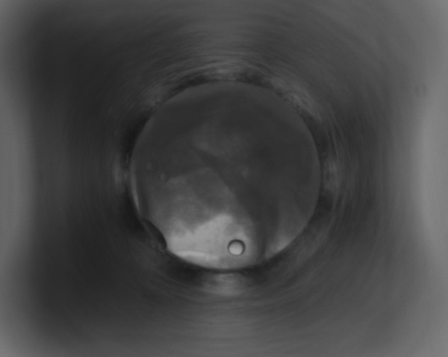 X0000100940324200807151311