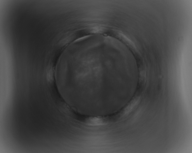 X0000100940325200807151311