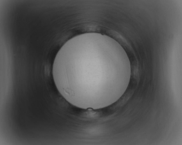 X0000100940326200807151311