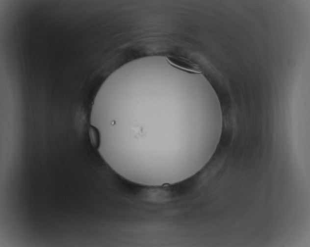 X0000100940327200807151311