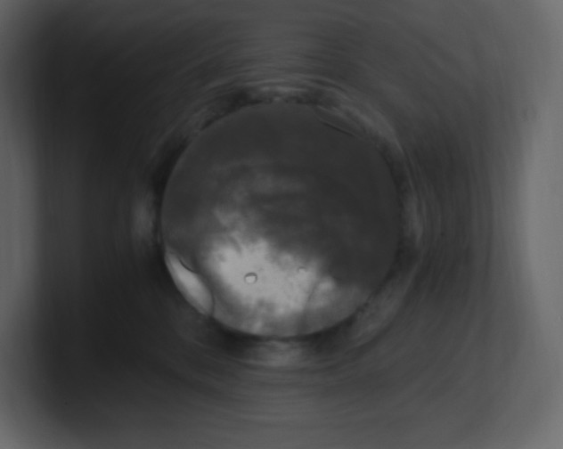 X0000100940328200807151311