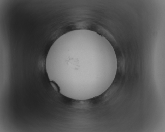 X0000100940329200807151311