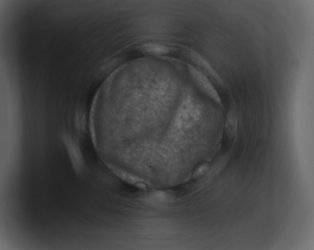 X0000100940330200807151311