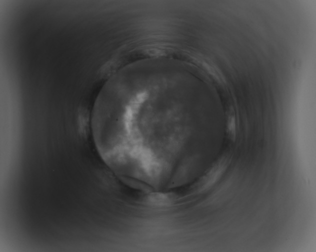 X0000100940332200807151311