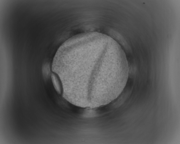 X0000100940335200807151311