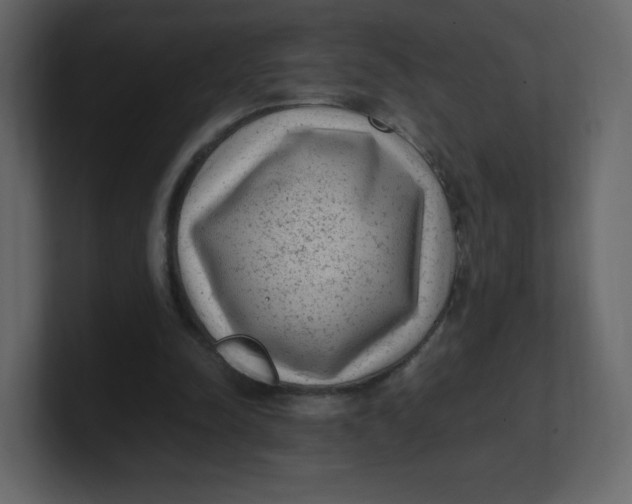 X0000100940342200807151311