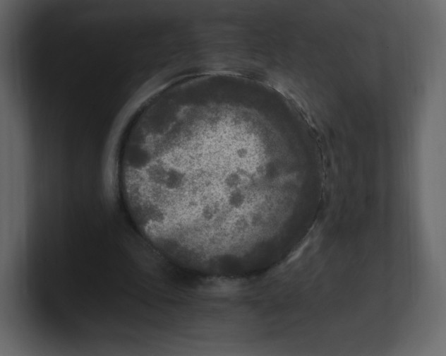 X0000100940343200807151311