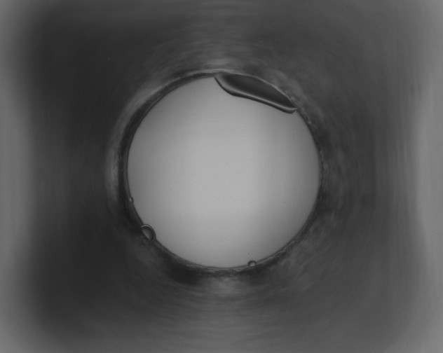 X0000100940344200807151311