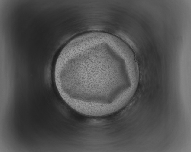 X0000100940346200807151311