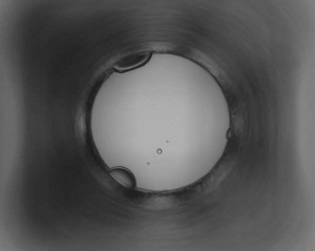 X0000100940350200807151311