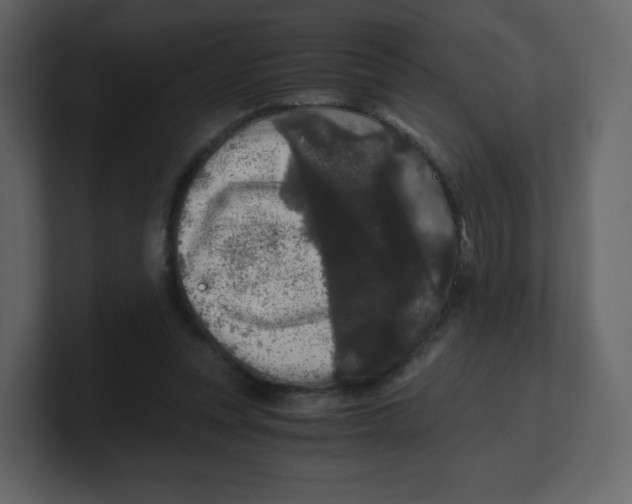 X0000100940351200807151311