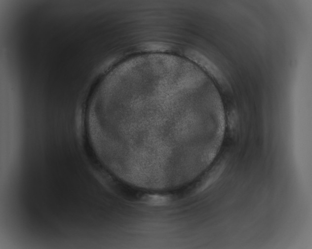 X0000100940352200807151311