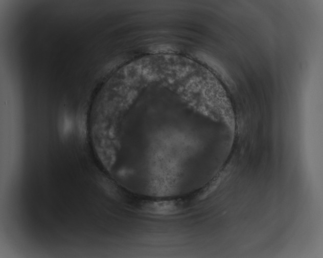 X0000100940353200807151311