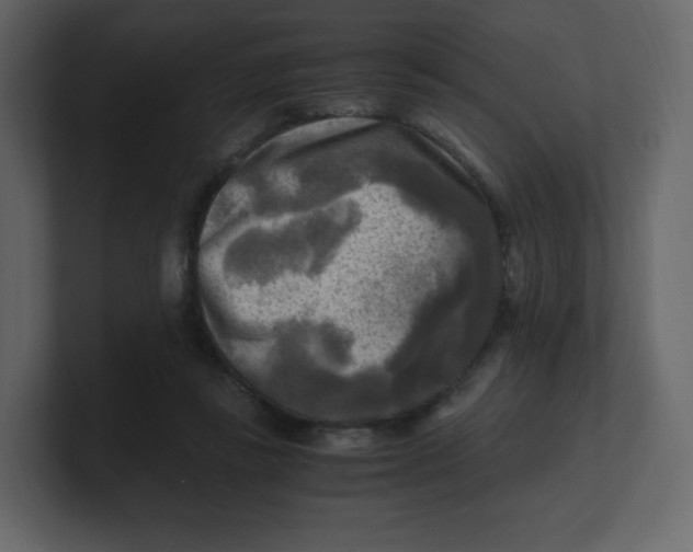 X0000100940355200807151311