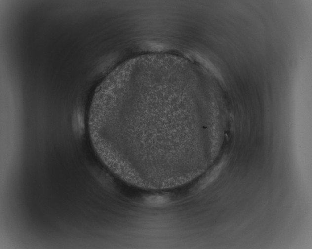 X0000100940358200807151311