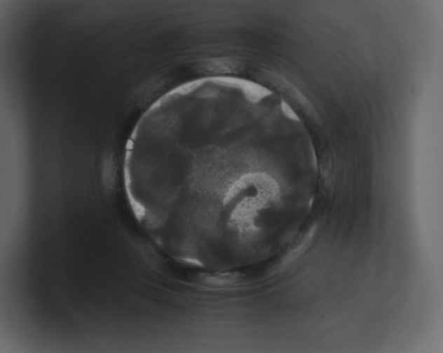 X0000100940359200807151311