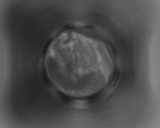 X0000100940360200807151311