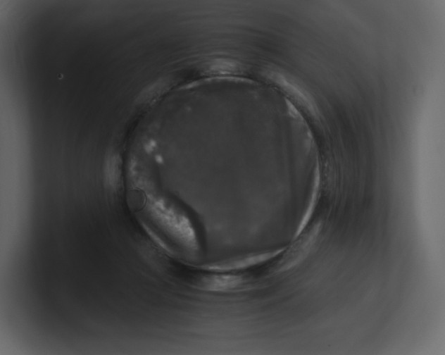 X0000100940361200807151311