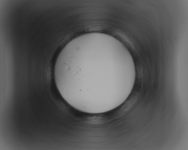 X0000100940362200807151311