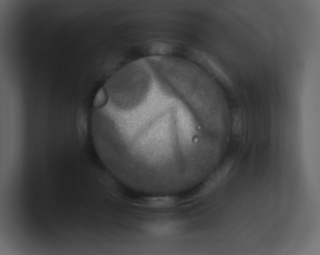 X0000100940363200807151311