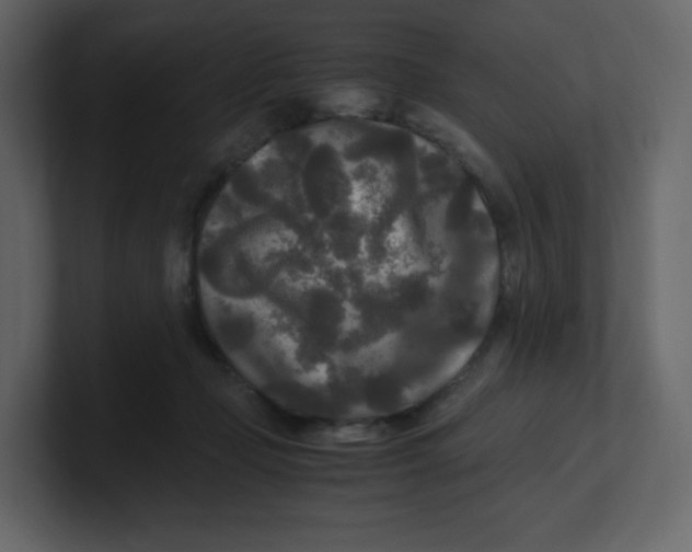 X0000100940365200807151311