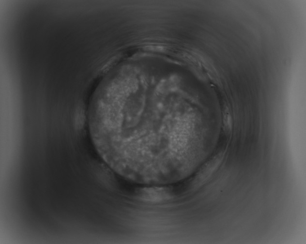 X0000100940367200807151311