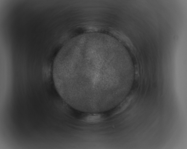 X0000100940369200807151311