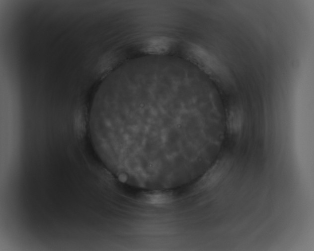 X0000100940370200807151311