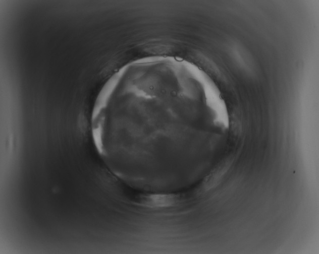 X0000100940371200807151311