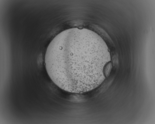 X0000100940372200807151311