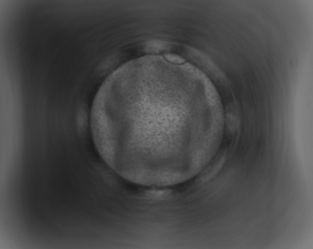 X0000100940375200807151311