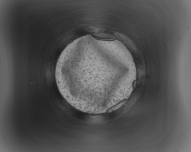 X0000100940376200807151311