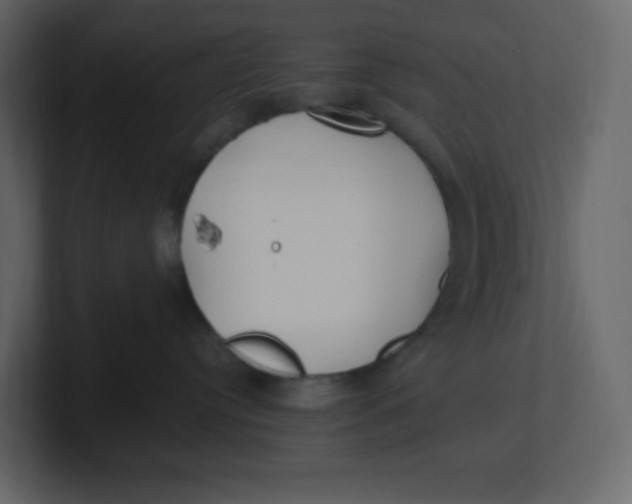 X0000100940384200807151311