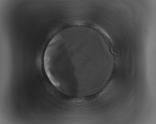 X0000100940386200807151311